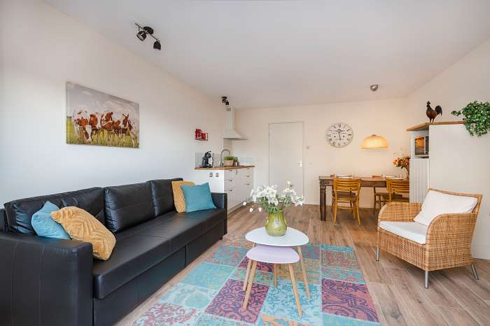 Het Reterink - Once a cowhouse, now five wonderful holiday accommodations - Separated terrace - Big living with kitchen and comfortabel sofa bed for two